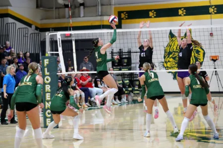 LadyCats advance to VB sectionals